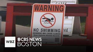 More than 40 Massachusetts beaches closed due to excessive bacteria in water