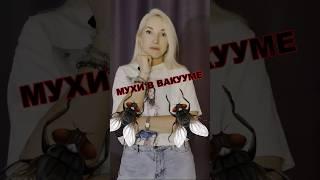Мухи в вакууме #физика #знания #наука #технологии