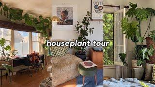 houseplant tour: how we grew our 15 ft fiddle leaf fig, watering routine, plant care products 🪴