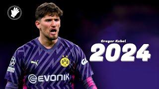 Gregor Kobel ◐ The Iron Wall ◑ Crazy Saves ∣ HD