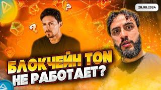 TON не работает? | Arut News 28.08.2024