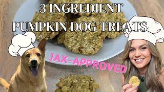 3 Ingredient Pumpkin Dog Treats