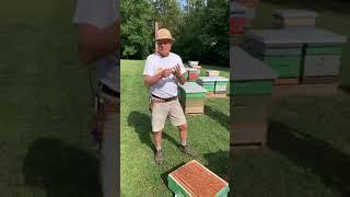 University of Guelph - Honey Bee Research Centre