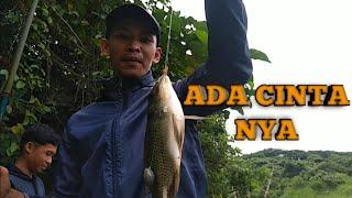 MANCING NILA LIAR DITENGAH HUTAN KUKAR (KALTIM)