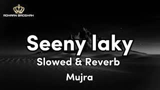 SEENY LAKY SLOWED & REVERB MUJRA MASTI