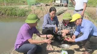 PS CHI BỘ TTKN HÀ TĨNH NHIỆM KỲ 2022-2024