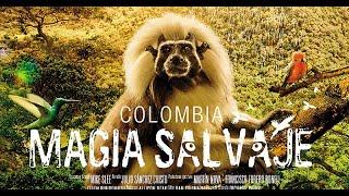 Colombia Magia Salvaje (Magic Wilderness)