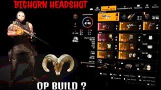 The division 2 Best damage build #bighorn