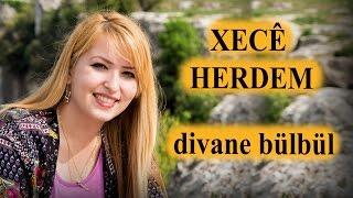 Xecê Herdem Divane Bülbül (Akustik)