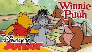 Freundschaftsgeschichten mit Winnie Puuh: Das Puuh-Stöckchen Spiel | Disney Junior