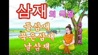 삼재의 특징, 들삼재 묵은삼재 날삼재 - 피클의 행복한 명리