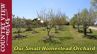 Homestead Orchard Spring Walk Through