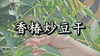 阿母ㄟ灶咖11香椿炒豆干 | 挑選香椿去除纖維方法 |素食料理食譜分享 | 食材備料處理教學 | 山倉品草Barnvege