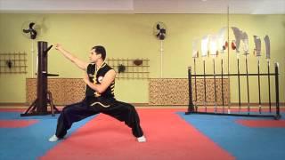 International Traditional Kung Fu Association - Brasil