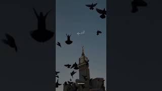 ZAM ZAM  ️ | Nabeel shaukat  | Ramzan Kalam 2025 | Islamic #shorttrending #shorts #viralshort