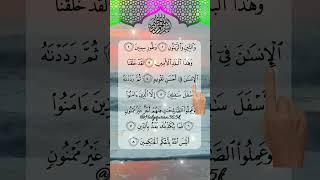 Let's Listen and Learn Surah At-Teen withFinger Tracking! #atteen #islamicprayer