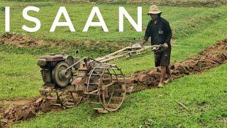 Living a simple life in Isaan Thailand