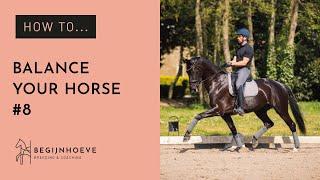 How to Practice Balancing Your Horse & Keep our Marriage alive | Begijnhoeve | How to #8