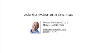 Leaky Gut Connection In Mold Illness | Dr Douglas Husbands