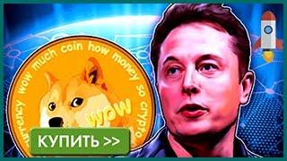 DogeCoin (Doge) Кошелек Как Купить ДогиКоин В Украине, Казахстане, России, РБ, Узбекистане?