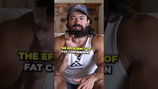 How I Gained a Lot of Weight and Strength