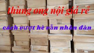 thùng nuôi ong nội - lý do vẫn nhân đàn ong giống trong lúc vượt hè