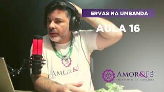 CURSO DE ERVAS NA UMBANDA | AULA 16 - MENTA