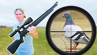 Testing the Cheapest PCP Air Rifle!