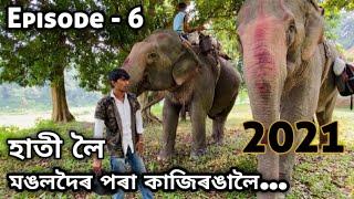 Episode - 6 : ELEPHANT SAFARI TO KAZIRANGA 2021