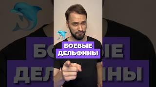 Боевые дельфины  #егэпоистории #егэ #история #турбоегэ