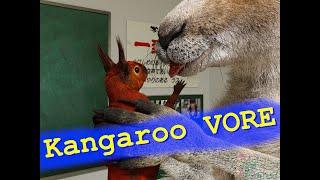 Kangaroo and Squirrel