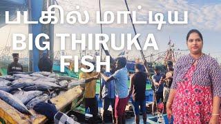 பெரிய திருக்கை மீன் | Kasimedu Fish Market