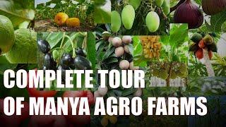 Complete Tour of Manya Agro Farms / Different Plants and Trees