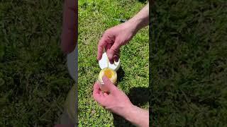 #shorts #lifehacks #совет #diy #дача#огород #life #урожай