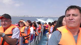 Speed boat tour of Islas Ballestas, the Galapagos Islands of Peru!