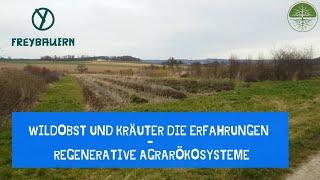 Wildobst und Kräuter die Erfahrungen | regenerative Agrarökosysteme | Rundgang | Freybauern (2020)