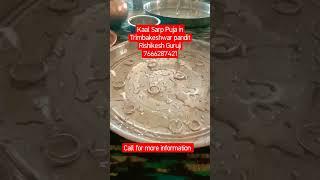 Kaal Sarp Puja in Trimbakeshwar pandit Rishikesh Guruji 7666287421 #shorts #viral #trending