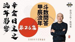 斗數問答 | 甲辰年對辛金日主人的影響 | 以四柱八字來看 | 第二十六則《紫微解密》(字幕版)