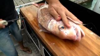 How to fillet a fish easily