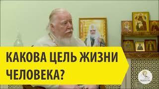 Какова ЦЕЛЬ ЖИЗНИ человека? Священник Димитрий Смирнов.