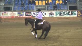 PIETRO PAOLO AMBROSINI - ARC JERSEY LIL BH - FUTURITY NON PRO 2013