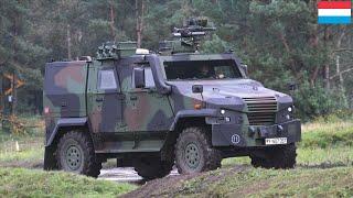 GDELS begins production of 80 Eagle V 4X4s for Luxembourg