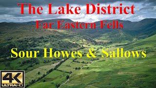 Sour Howes & Sallows. The Lake District.  26th July 2024