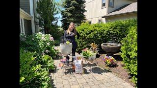 Lets Grow: Planting a Summer Container Garden ENGLISH GARDENS