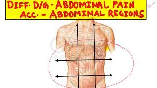 Differential Diagnosis of Abdominal Pain