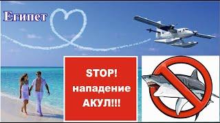 STOP! Нападение АКУЛ, Египет, Шарм, Хургада, ТОП отели где есть защита от акул и опасных обитателей