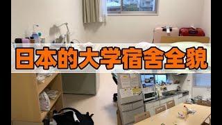 从语言学校去大学报到全过程！日本的寮到底长啥样？| 我们在日本
