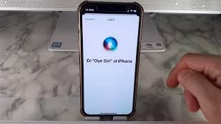 COMO ACTIVAR OYE SIRI EN IPHONE 🟢