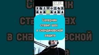 Скандинавская защита #chess #lichess #стрим #гамбит #puzzle #дебют #игры #twitch #rawerrson #нарезки