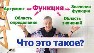 Что такое аргумент функции, значение функции, область определения функции, область значений функции?